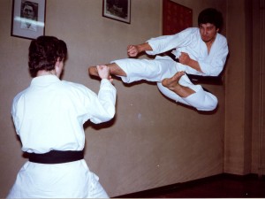 Karate yokotobi 2