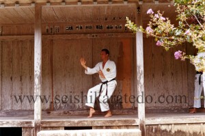 img400 copy